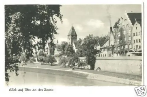 AK, Ulm Donau, Teilansicht, ca. 1955