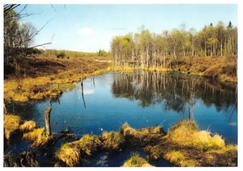 AK, Holzminden Weser, OT Silberborn, Hochmoor Mecklenbruch, um 2000