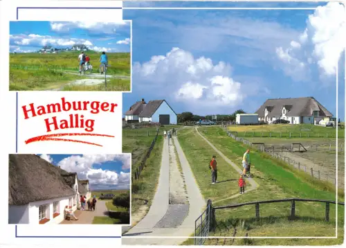 AK, Hamburger Hallig, drei Abb., um 1995