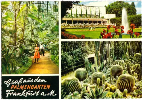AK, Frankfurt am Main, Gruß aus dem Palmengarten, drei Abb., 1962