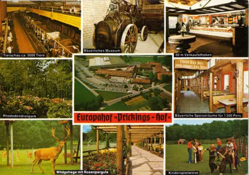 AK, Haltern - Sythen, Europahof Prickingshof, neun Abb., um 1978