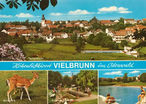 AK, Vielbrunn Odw., vier Abb., 1979