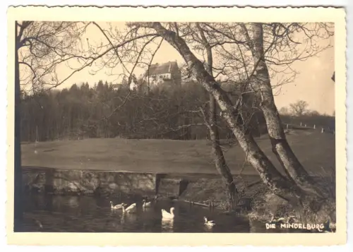 AK, Mindelhelm, Blick zur Mindelburg, um 1955