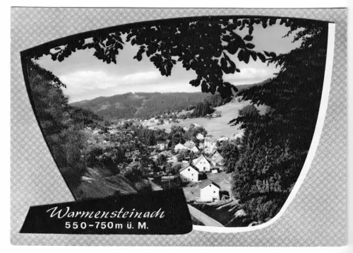 AK, Warmensteinach Fichtelgeb., Teilansicht, gestaltet, 1976