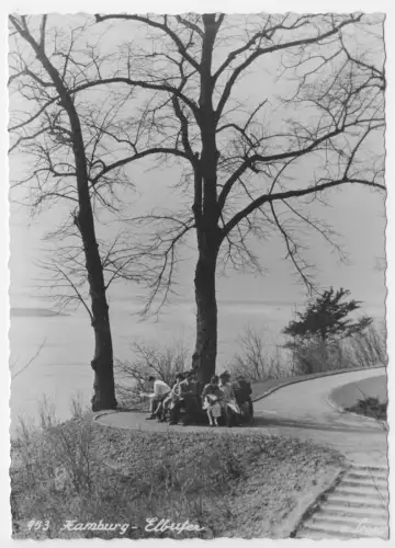 AK, Hamburg, Frühling am Elbufer, 1959