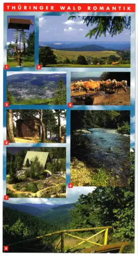 AK Langformat, Thüringer Wald Romantik, acht Abb., um 2000