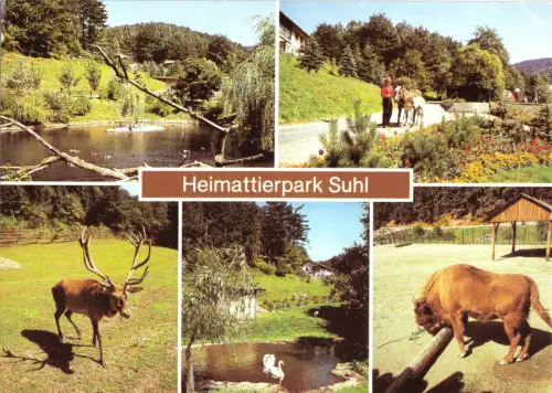AK, Suhl, Heimattierpark, fünf Abb., um 1988