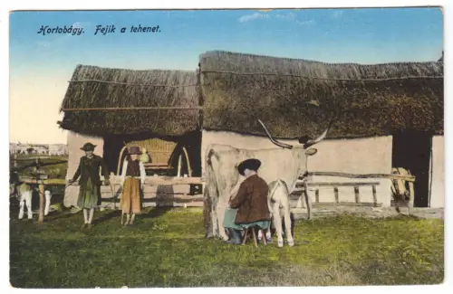 AK, Hortobagy, Ungarn, Bauernhaus, Bauer melkt die Kuh, 1916