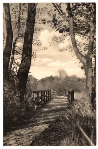 AK, Ostseebad Prerow Darss, Brücke über den Strom, 1957