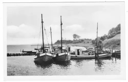 AK, Insel Poel, Fischkutter im Hafen, 1954