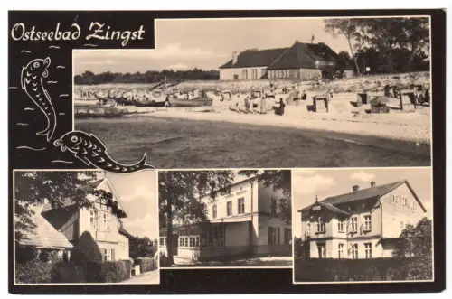 AK, Ostseebad Zingst, vier Abb., gestaltet, 1963