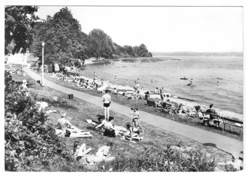 AK, Plau Meckl., Kr. Lübz, Strandbad am Plauer See, belebt, Version 3, 1974