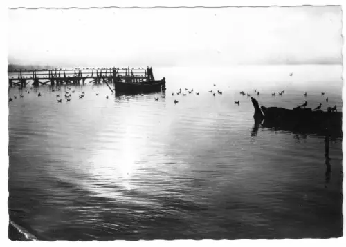 AK, Plau Meckl., Kr. Lübz, Abendliche Stimmung am Plauer See, 1966