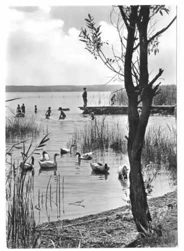 AK, Plau Meckl., Kr. Lübz, Partie am Plauer See, Version 2, 1967
