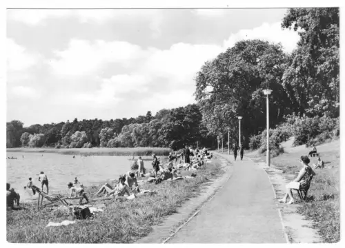 AK, Plau Meckl., Kr. Lübz, Strandbad am Plauer See, belebt, Version 1, 1970
