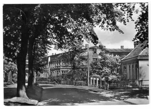 AK, Parchim, Partie in der Goetheallee, 1967