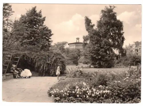 AK, Halle Saale, Partie im Leninpark, Kinderwagen, 1961