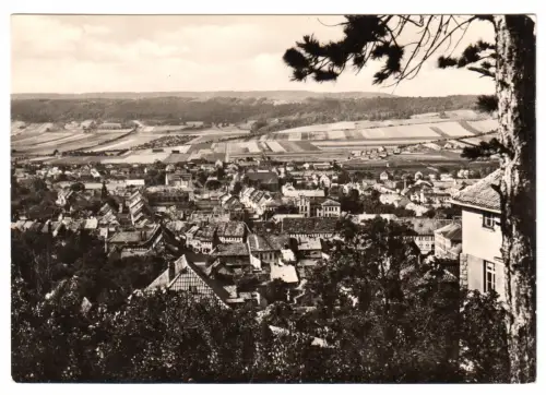 AK, Bad Frankenhausen Kyffh., Stadtblick von der Karnstedtstr., 1963