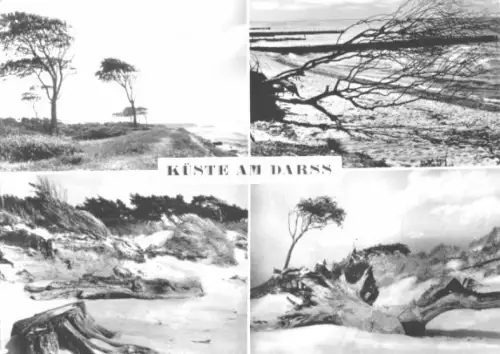 AK, Küste am Darß, vier Abb., 1964