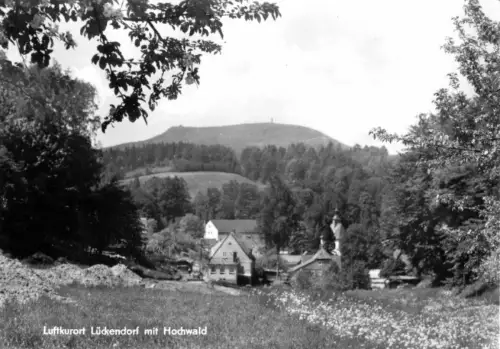AK, Luftkurort Lückendorf Kr. Zittau, Ortsteilansicht mit Hochwald, 1979