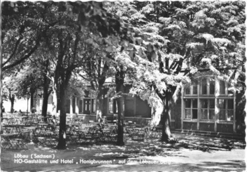 AK, Löbau Sachsen, HOG "Honigbrunnen", 1962