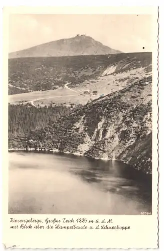 AK, Riesengebirge, Großer Teich mit Bl. über d. Hampelbaude z. Schneekoppe, 1940
