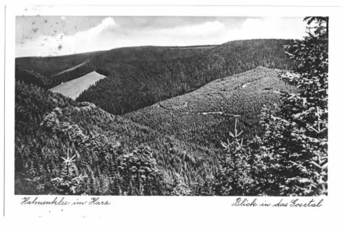 AK, Hahnenklee im Harz, Blick ins Gosetal, 1955