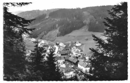 AK, Dürrenwaid im Frankenwald, Teilansicht, 1965