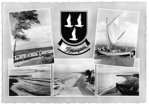 AK, Ostseebad Kühlungsborn, fünf Abb., gestaltet, 1960