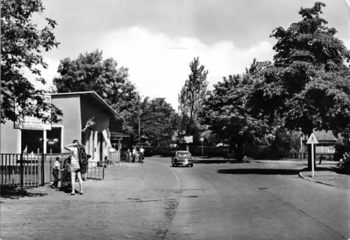 AK, Ostseebad Zingst Darß, Am Fischmarkt, 1971