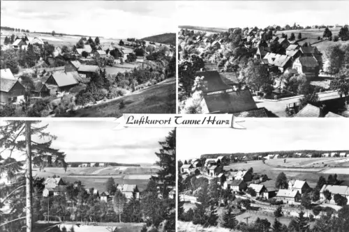 AK, Tanne Harz, Kr. Wernigerode, vier Teilansichten, 1970