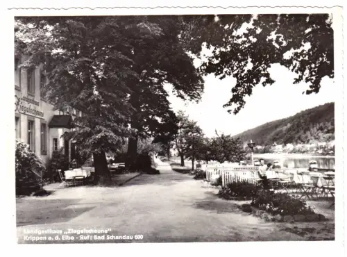 AK, Krippen Elbe, Landgasthaus "Ziegelscheune", Terrasse, 1965