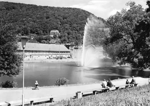 AK, Suhl, Herrenteich am Ernst-Thälmann-Platz, im Hintergrund Malzhaus, 1972