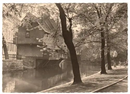 AK, Erfurt, Am Dämmchen, 1958