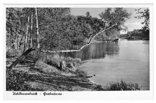 AK, Berlin Wannsee, OT Kohlhasenbrück, Partie am Griebnitzsee, um 1960