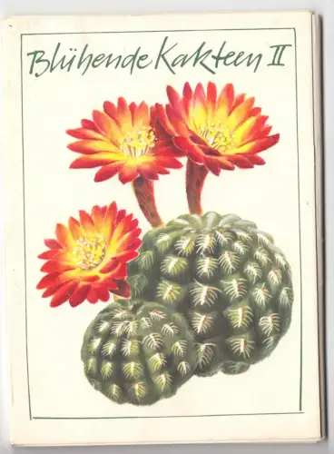 AK-Mappe mit 8 Color-AK, Blühende Kakteen II, 1980