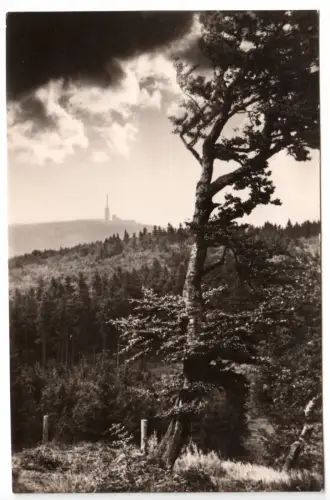 AK, Inselsberg Thür. Wald, Blick zum Gipfel, Stimmungsbild, 1961