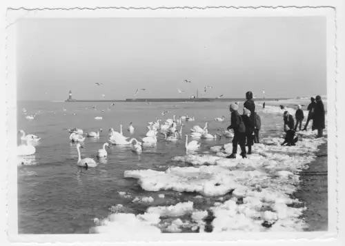 AK, Rostock Warnemünde, Blick vom Strand zur Mole, Winteransicht, belebt, 1980