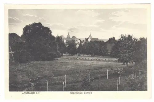 AK, Laubach in Hessen, Blick zum Gräflichen Schloß, um 1930