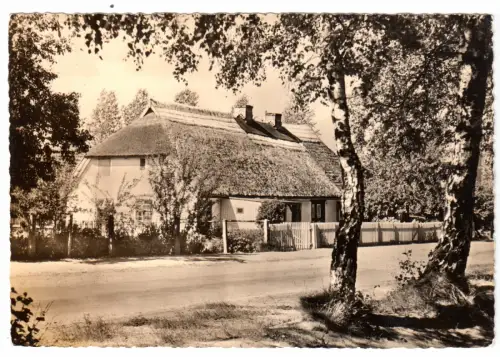 AK, Seeheilbad Graal-Müritz, Altes Büdnerhaus im Ortdteil Müritz, 1964