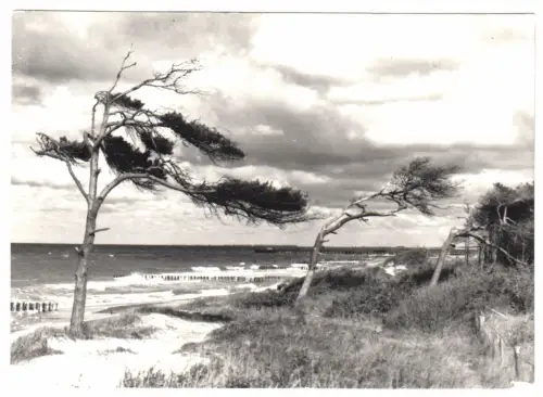 AK, Seeheilbad Graal-Müritz, Strandpartie mit Windflüchtern, 1980