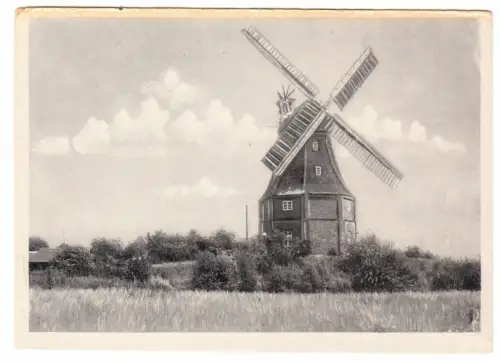 AK, Seeheilbad Graal-Müritz, Mühle, um 1953