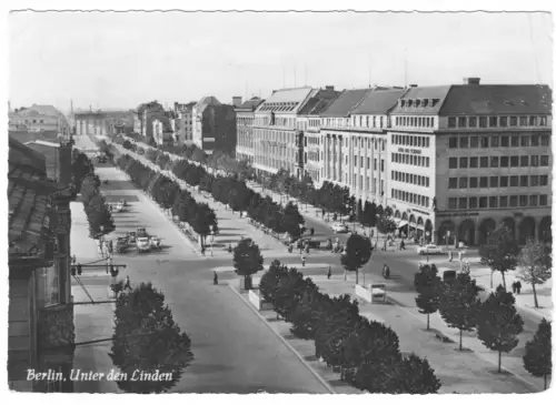 AK, Berlin Mitte, Straße Unter den Linden, Zustand 1956