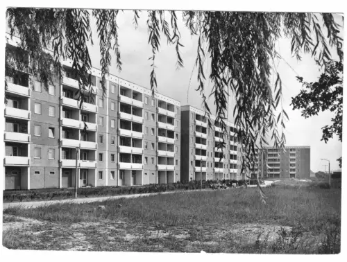 AK, Tessin Kr. Rostock, Neubaugebiet Am Rosengarten, 1977