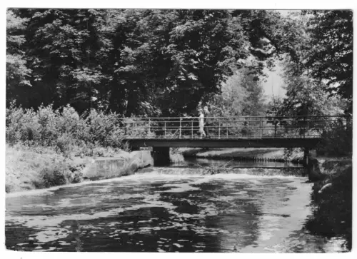 AK, Berlin Niederschönhausen, Partie im Schloßpark, 1963