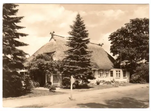 AK, Seeheilbad Graal-Müritz, Gärtnerei, 1970