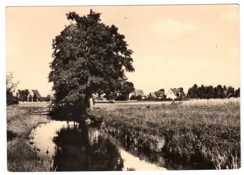 AK, Petershagen, Partie am Fließ, 1963