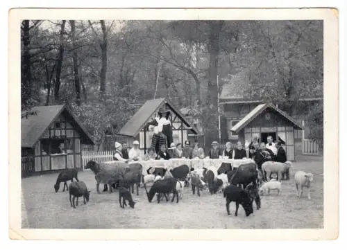 AK, Berlin Tiergarten, Zoo, Im Reiche der Zwerge und Tierkinder, um 1940
