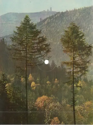 AK Großformat, 20 x 15 cm, mit Schallplatte, Rennsteig-Lied, Inselsberg, um 1960