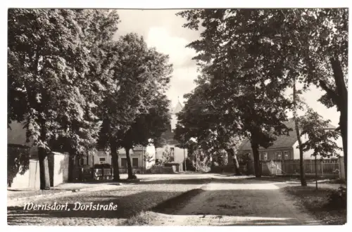 AK, Königs Wusterhausen OT Wernsdorf, Dorfstr., 1961